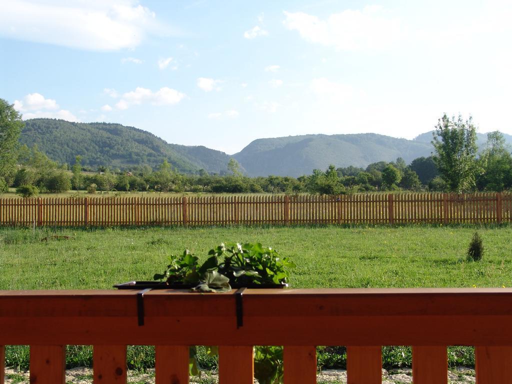 Complex Agroturistic Livada De Nuci Villa Baia de Fier Bagian luar foto