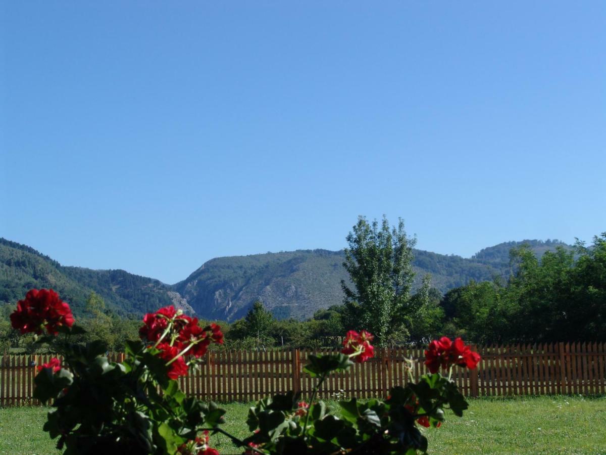 Complex Agroturistic Livada De Nuci Villa Baia de Fier Bagian luar foto